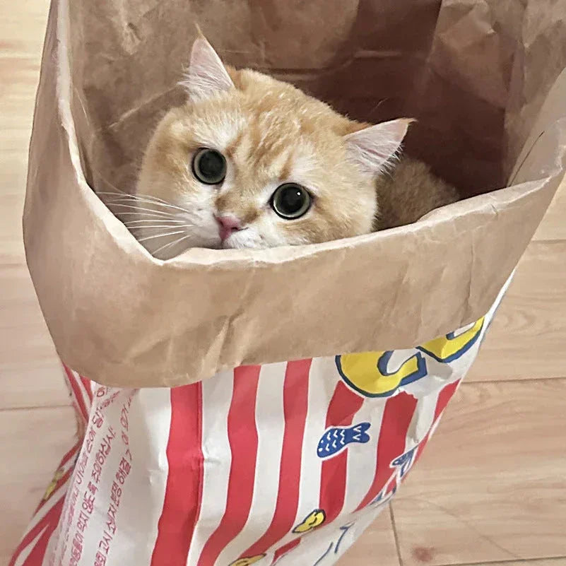 Cat Sleep & Play Cardboard Popcorn Bag