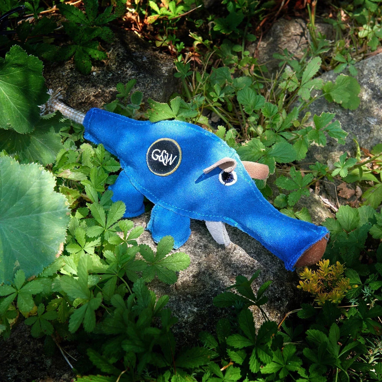 Dino the Dyno Fish Eco Dog Toy